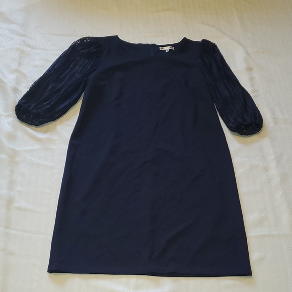 Sandra Darren Navy Dress with Sheer Sleeves - Picture 1 of 4